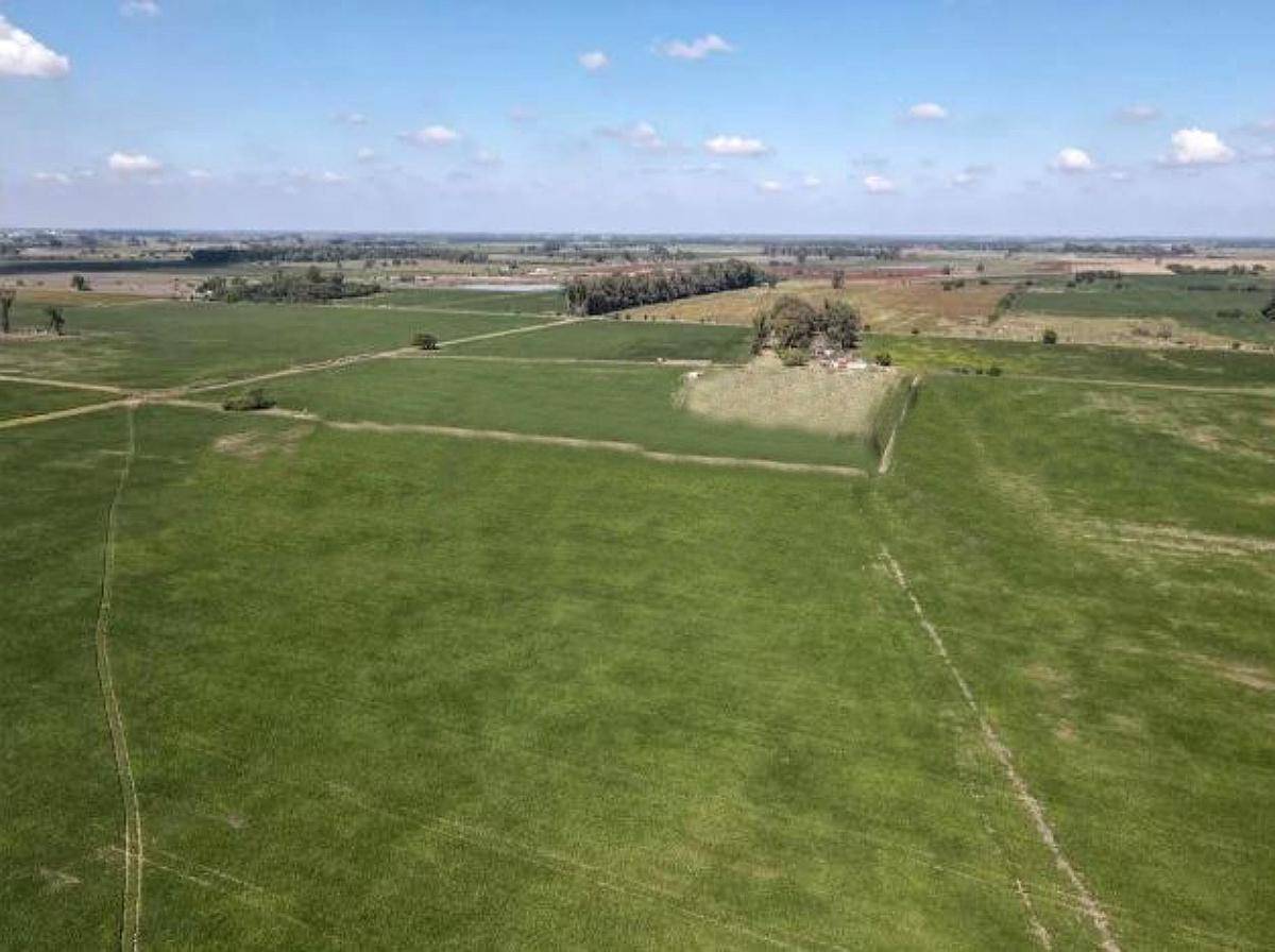 Campo 430 Has en la Matanza