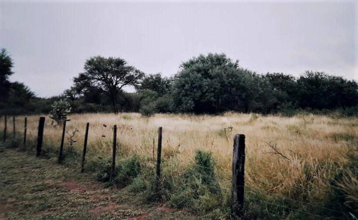 San Francisco del Chañar, Córdoba - 1351 Ha
