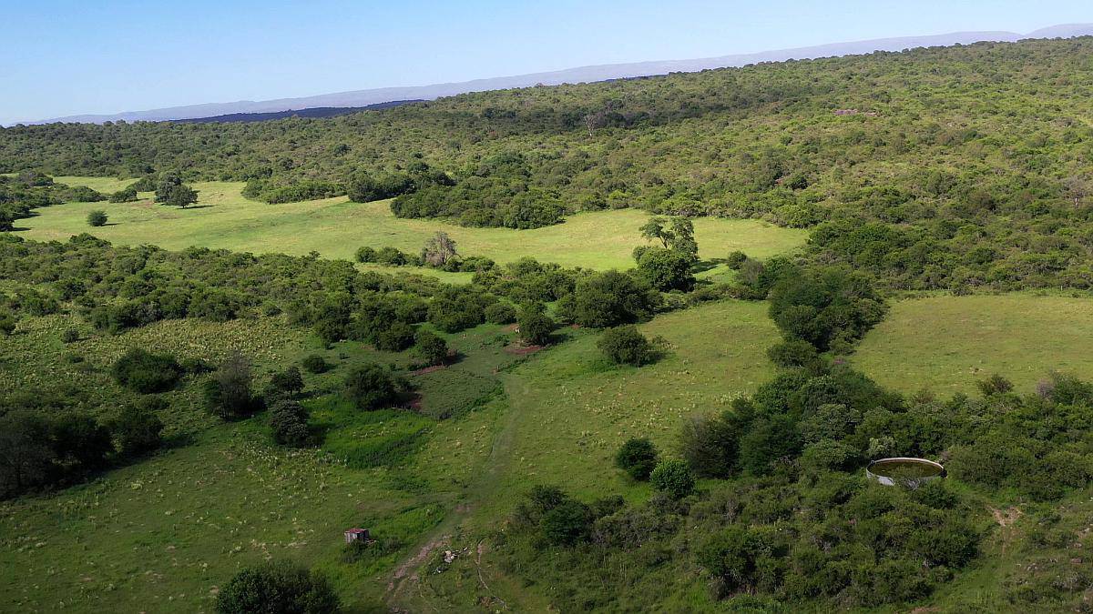 Córdoba Valle de Calamuchita San Ignacio 500 Has Ganaderas