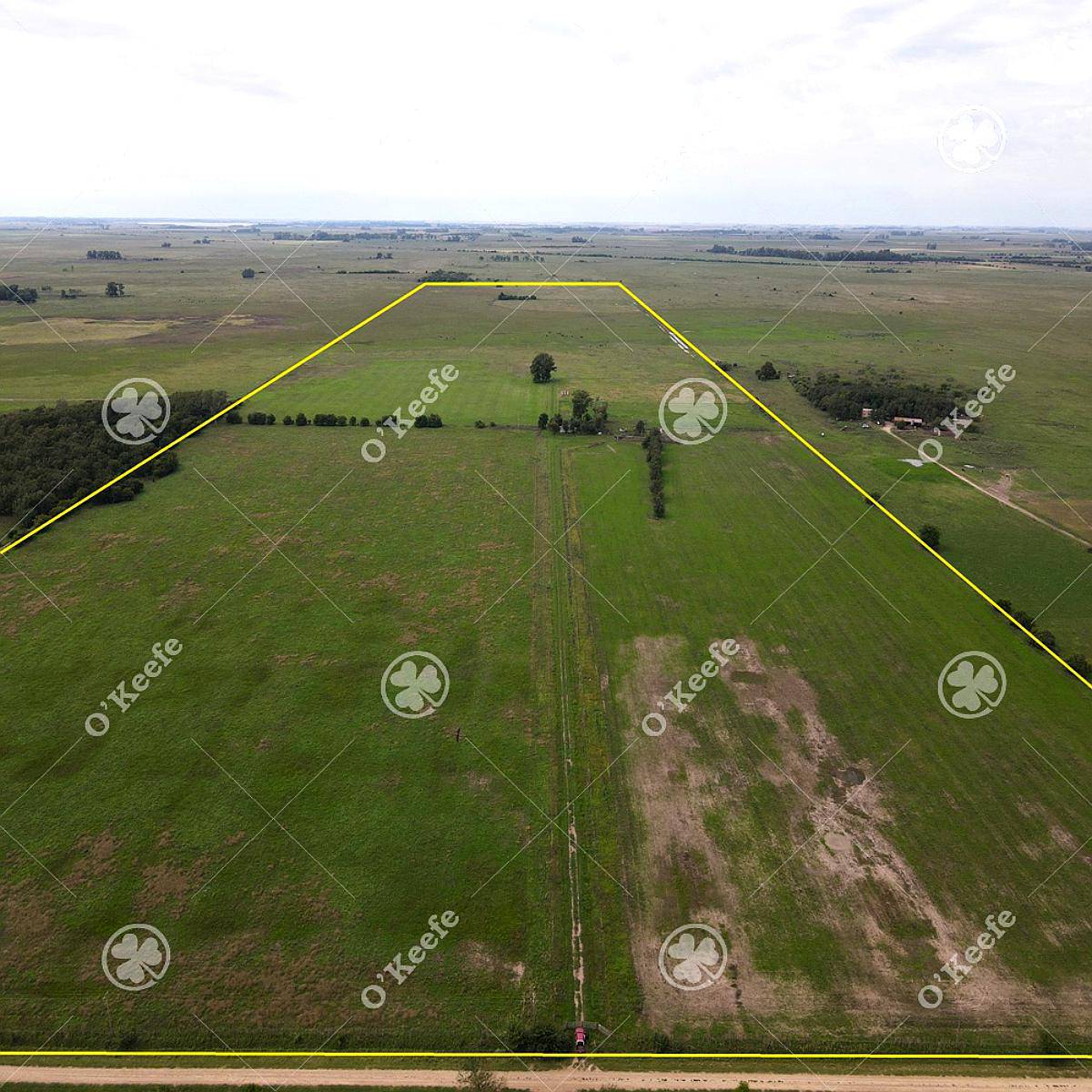 Campo Mixto en Venta 90 Has en Ranchos, con Buen Acceso