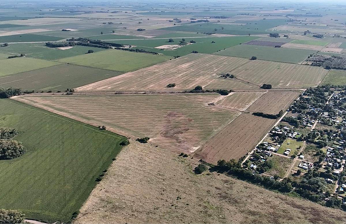 Campo en San Antonio de Areco