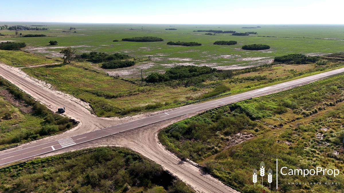 Venta Campo 4.273,7 Has para Siembra a 70 km al Este Tostado