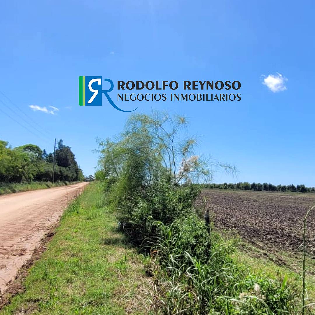 27 HA. en Villa Elisa - Entre Ríos