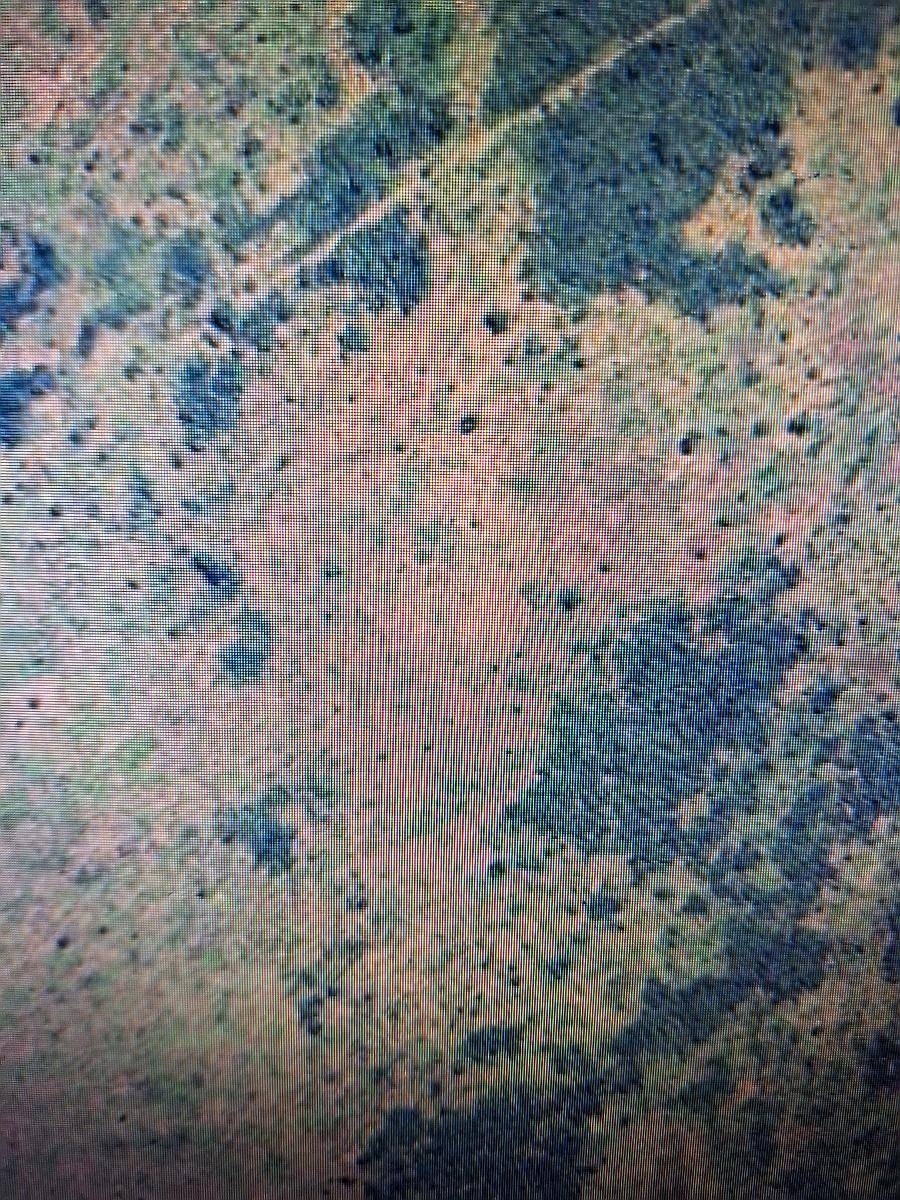 Campo la Banda SGO del Estero