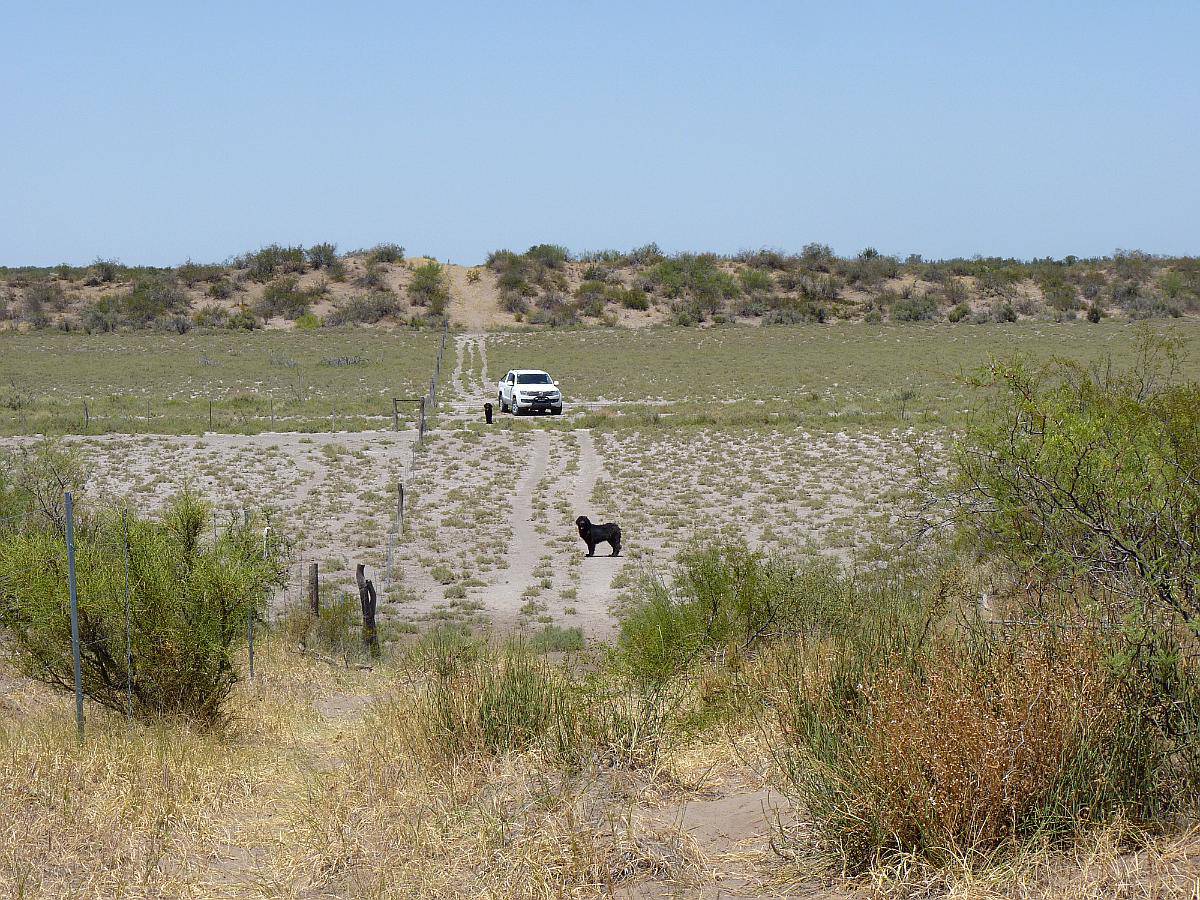 Limay Mahuida - 13.500 Ha - la Pampa