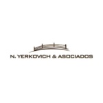 Nyerkovich y Asociados
