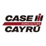 Cayrú