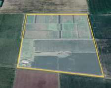 84 Hectáreas con Excelentes Mejoras