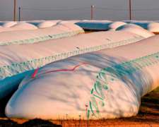 Silobolsa Coverbag 9 Pies X 60 Mts (200/210 TN)