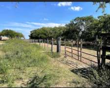Isla en Diamante Entre Rios