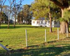 40 Hectáreas Ganadero Producción Porcina