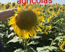 Muy Buena Oportunidad de Invertir