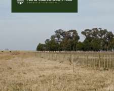 1050 Ha, Ganadero, Dolores