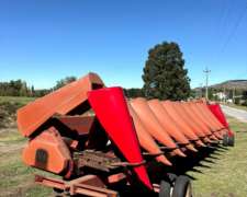 Maicero de Grande de 10 a 70 cm