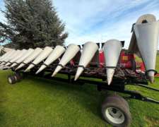 Maicero - Maizco - Año 2021 - De 12 A 70 - Emb Cnh