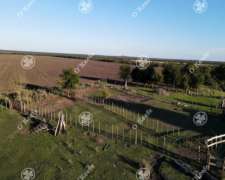 Campo en Venta de 520 Has Mixtas en Entre Rios