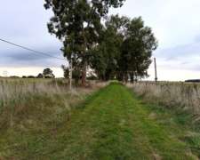 Campo en Venta en Punta Indio - 50 Hectáreas
