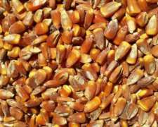 Compro Maiz Y Soja Para Consumo , Pago Contado