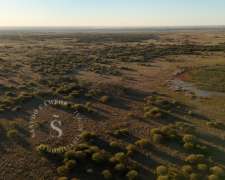 Campo Ganadero. 250 Hectáreas. Capivara, Santa FE.