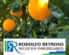 01. Buscamos Campos, Llamanos Ahora