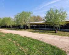 5 HA. en Colonia San Cipriano