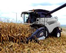 Maicero GTS de Alumino o Acero Inox