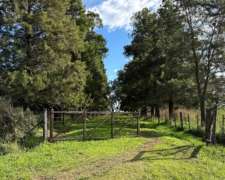 25 Has. Chacra en San Andres de Giles