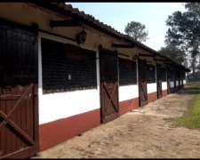 Reconocido Haras y Pensionado Equino