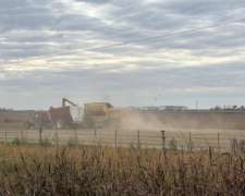 Busco Campo para Alquilar