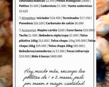 Gallinas Ponedoras ISA Brown