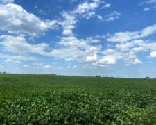 176 Hs en Comechingones Cordoba Totalmente Agricolas