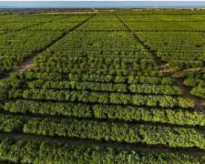 Campo en Salta 15000 Hectáreas