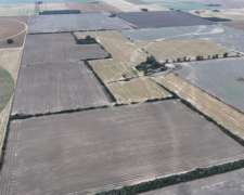 Córdoba Pilar 260 Has Agricolas Imperdibles