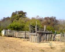 Campo Ganadero en Rivadavia Banda Norte
