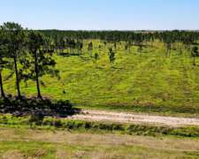 920 Hectáreas en Villa Olivari Ituzaingó Corrientes