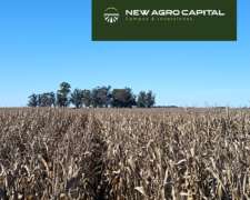 207 Ha Agricola Ganadero-vivorata