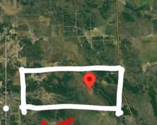 Campo Ganadero 1470 Has Pcia de la Plaza Chaco