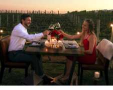 Accionista en Bodega y Viñedos - Nuevos Negocios