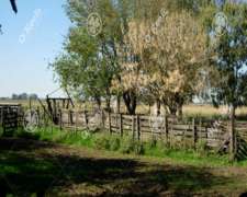 Campo en Venta de 84 Hectareas, la Plata, Ganadero.