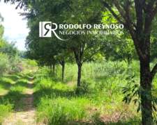 Campo de 4 Hectáreas - Nuez Pecan/apicultura/agrícola