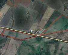 53 Ha Agrícolas Sobre Ruta en Pehuajó Sud, Gualeguaychú