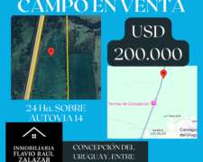 Campo 24 Ha Sobre Autovia 14