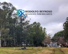 Campo De 95 Ha En Cnia Elía – Er