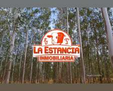 48 Has Forestales De Eucalipto En Concordia