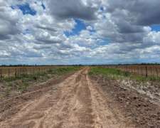 Las Lajitas, Salta - 1330 Has