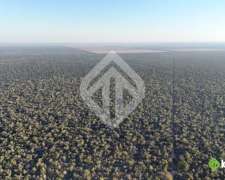 Campo En Venta A Desarrollar De 1944 Ha Anta Salta