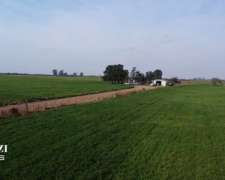 150 Ha Agricolas en Hersilia Sobre RP 38. IP 52%