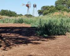 Campo en Venta - 300 Ha - Zona las Isletas