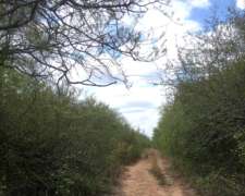 Cuchuy, Salta - 2700 Has