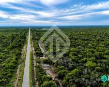 Campo a Desarrollar 1600 Has Embarcación Salta